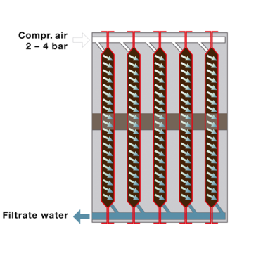 Filter cake washing